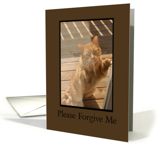 Forgive Me card (453909)