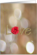 Save the Date Love Rose card