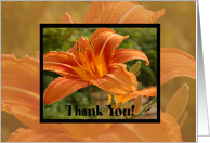 Thank You Orange Flower card