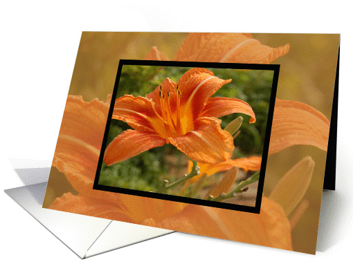 Orange Flower card (459204)