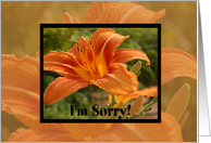 Orange Flower I’m Sorry card