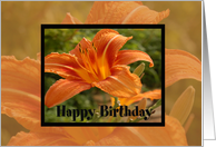 Orange Flower Bday card