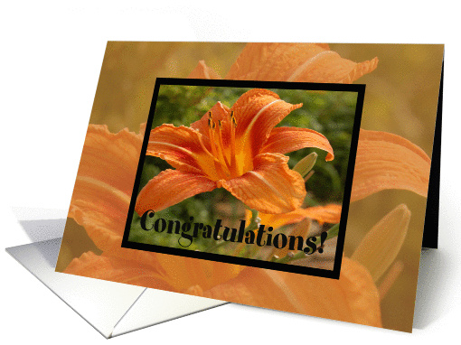 Orange Flower Congrats card (459221)