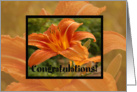 Orange Flower Congrats card