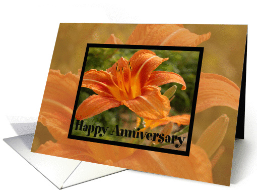 Orange Flower Anniversary card (459222)