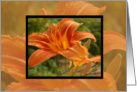 Orange Flower Framed Save The Date card