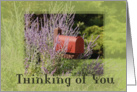 Thinking of You Mailbox card