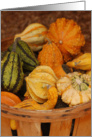Basket of Gourds Blank card