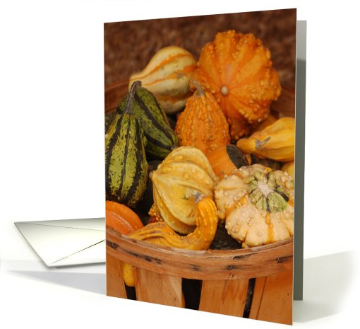 Basket of Gourds Thanksgiving card (534662)