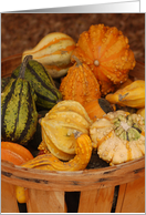 Basket of Gourds Thanksgiving card