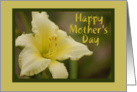 Mother’s Day Flower card