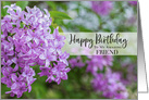 Morning Lilac Happy Birthday Friend card