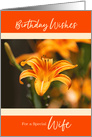 Day Lily Happy Birthday for Wife card