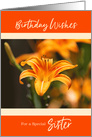 Day Lily Happy Birthday for Sister card