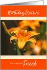 Day Lily Happy Birthday for Friend card
