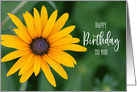 Bright Yellow Black Eyed Susan Happy Birthday card