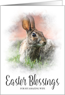 Easter Bunny and Easter Blessings for Wife card