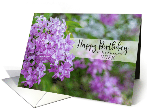 Morning Lilac Happy Birthday Wife card (1613138)