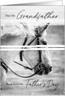 White Horse Happy Father’s Day Grandfather card