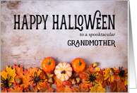 Pumpkins, Spiders and Leaves Happy Halloween for Grandmother card