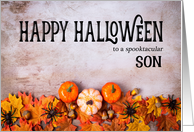 Pumpkins, Spiders and Leaves Happy Halloween for Son card