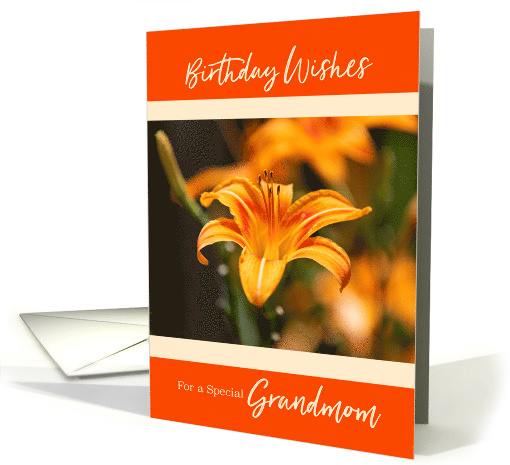 Day Lily Happy Birthday for Grandmom card (1622780)