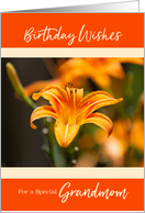 Day Lily Happy Birthday for Grandmom card