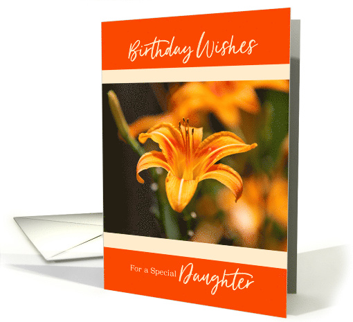Day Lily Happy Birthday for Daughter-in-Law card (1622784)