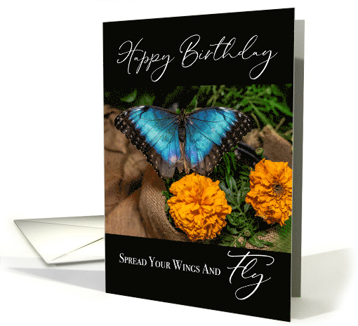 Butterfly and Marigolds Happy Birthday card (1627966)