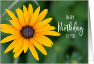 Bright Yellow Black Eyed Susan Happy Birthday card
