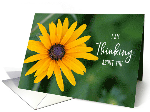 Bright Yellow Black Eyed Susan Thinking About You card (1632620)