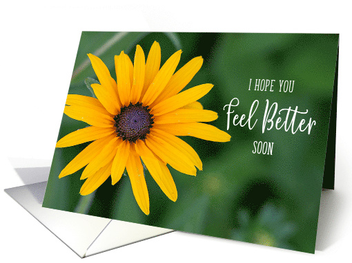 Bright Yellow Black Eyed Susan Feel Better card (1632628)