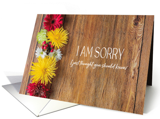 I Am Sorry Apology Mums and Daisies on Rustic Wood card (1639638)