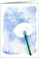 Dandelion Dreams card