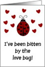 Valentine’s Day - Love Bug card