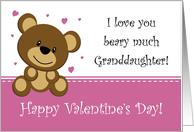 Bear Valentine -...