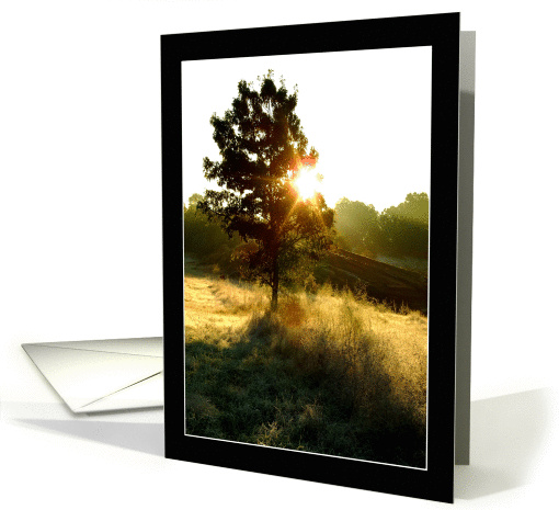 Autumn Morning card (274120)