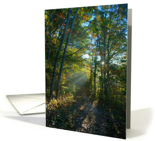 Autumn Light card (769566)
