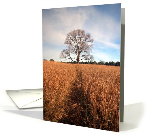 Tree card (769710)
