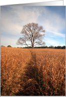 Tree card