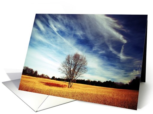 Tree card (769712)