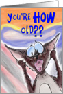 Siamese Cat Birthday Humor - You’re HOW Old? card