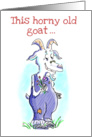 Happy Anniversary Horny Old Goat Humor card