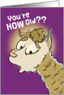 Birthday Humor - Cute Surprised Alpaca card