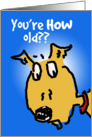 Dog Years Birthday Humor card