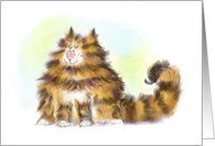Maine coon cat humor blank card