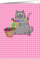 Knitting Cat Happy Birthday Humor card