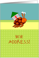 Cute Hermit Crab - New Address card