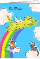 Golden white cat with sympathy - Pet Sympathy card