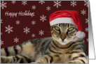 Happy Holidays, Santa Tabby Cat Holiday Card